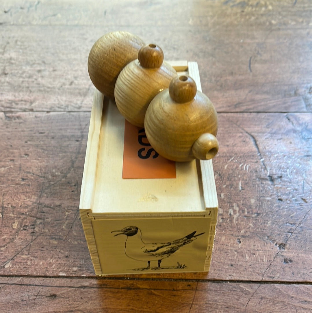 Richiamo per Gabbiano