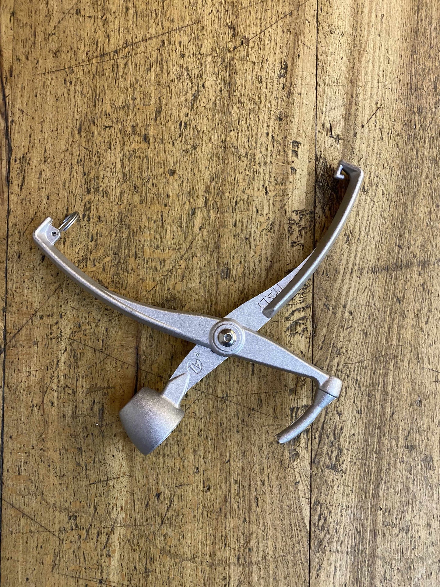 Snocciola olive e ciliegie