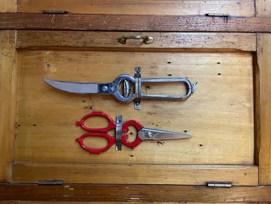 Pruning shears