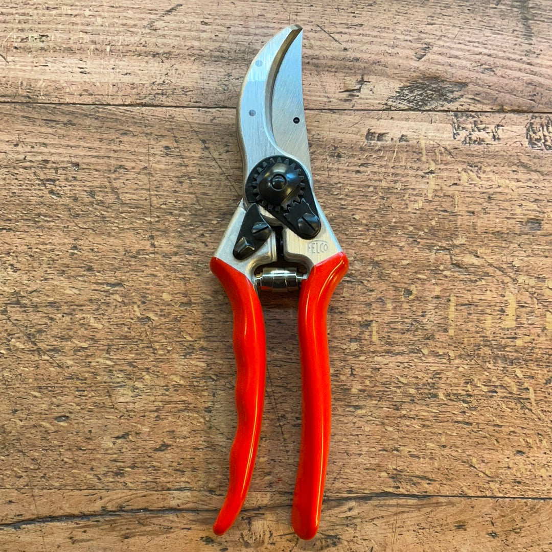 Felco scissors 2