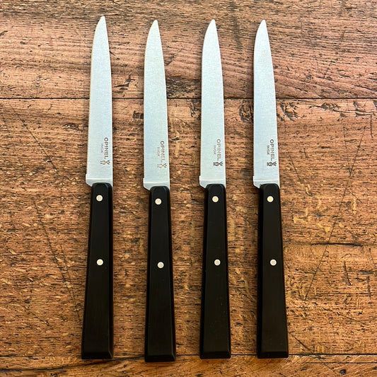 Set coltelli tavola microdentati