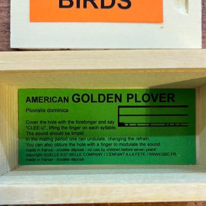Call for Lesser Golden Plover or American Golden Plover