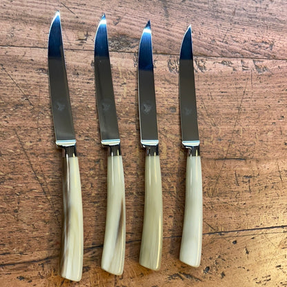 Set 4 coltelli tavola